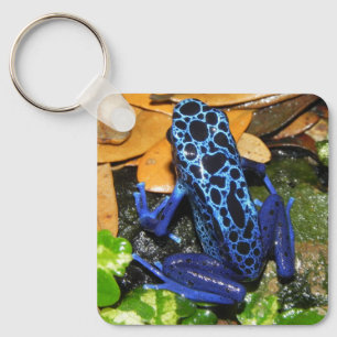 Stängning av en blå dammgroda nyckelring