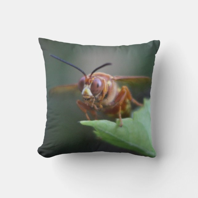 Stängning av en Cicada Killer Kudde (Framsida)