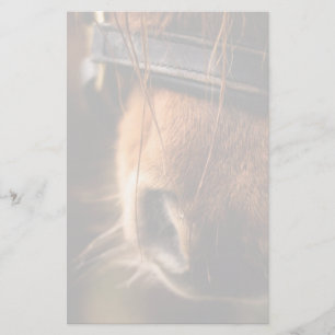 Stängning av en Cute Brown Horse Nose Brevpapper
