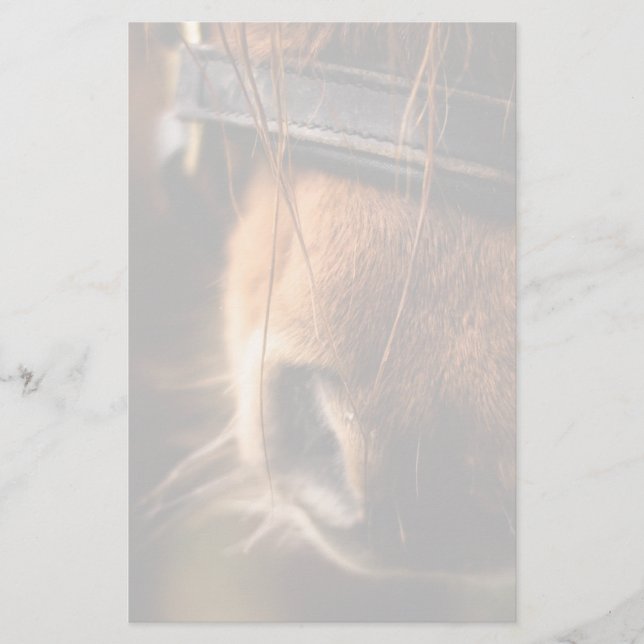 Stängning av en Cute Brown Horse Nose Brevpapper (Framsida)