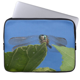 Stängning av en dragonfly mot ett starkt blå himme laptop fodral