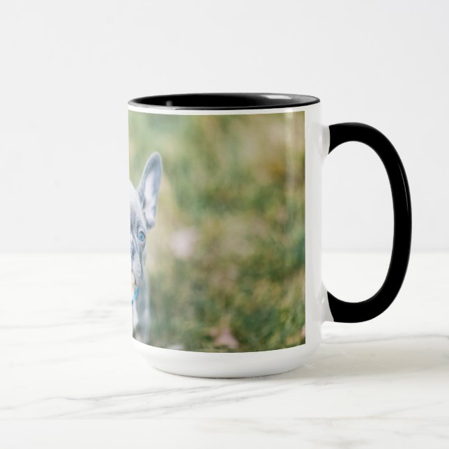 Stängning av en Fransk Bulldog Mugg (Höger)