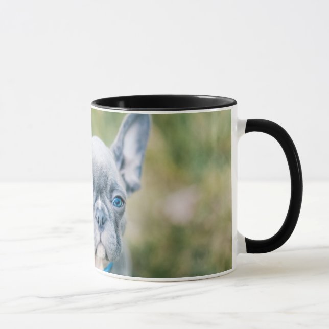 Stängning av en Fransk Bulldog Mugg (Höger)