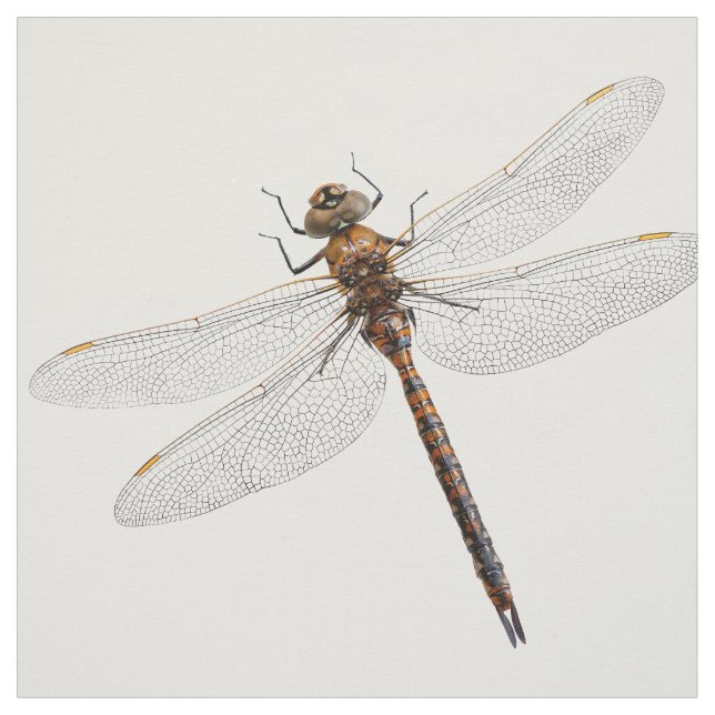 Stängning av en Kanada Darner Dragonfly Tyg (Provkarta)
