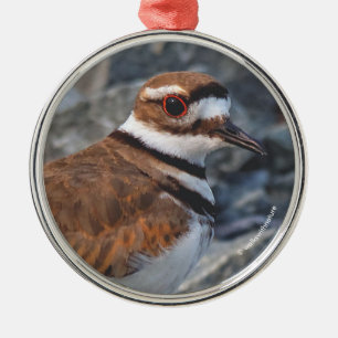 Stängning av en mordare Shorebird på Sten Julgransprydnad Metall