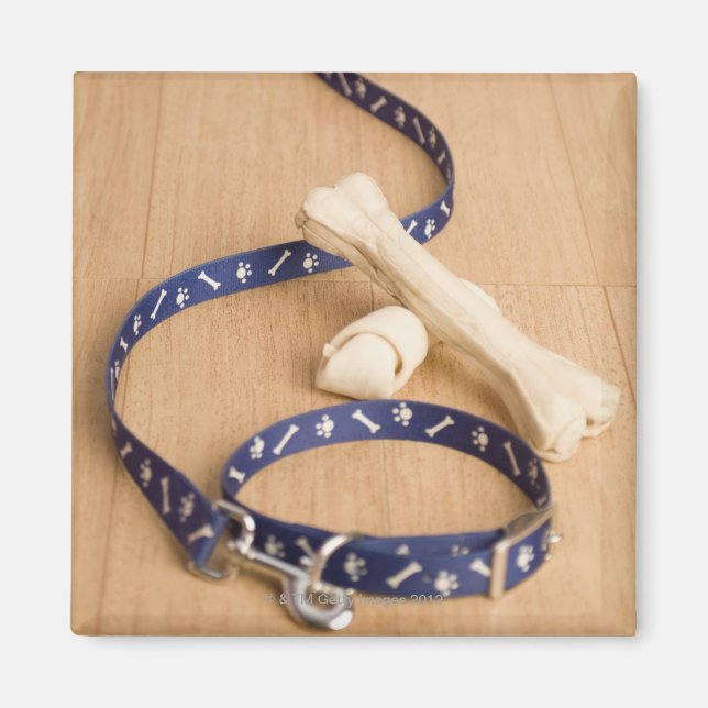 Stängning av en tallrik och ett utslag med hund magnet (Framsidan)