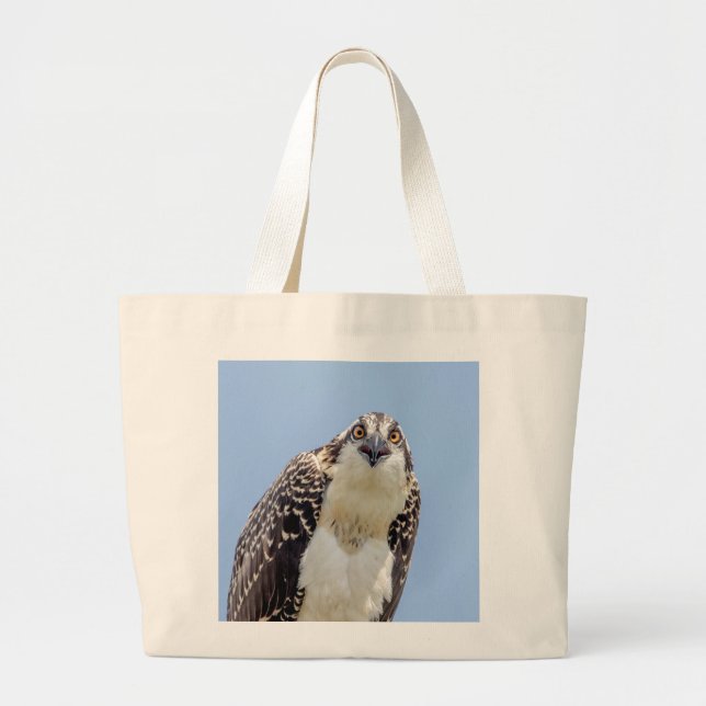 Stängning av en ung Osprey Jumbo Tygkasse (Framsidan)
