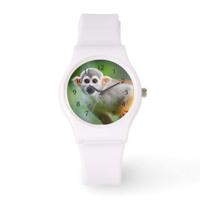 Stängning av en vanlig ekorrapa armbandsur (Framsida)
