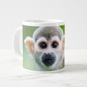 Stängning av en vanlig ekorrapa jumbo mugg