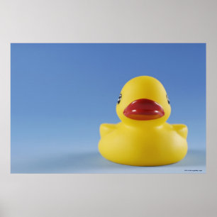 Stängning av ett gummi anka poster