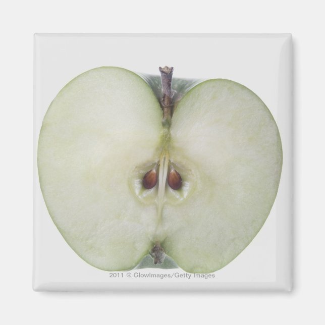 Stängning av ett skivat mormusseläpple magnet (Framsidan)