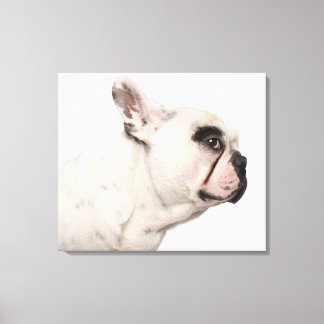 Stängning av fransk Bulldog (4 år gammal) Canvastryck