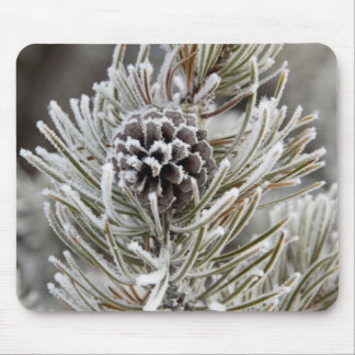 Stängning av fryst gräs-kon, Yellowstone Musmatta