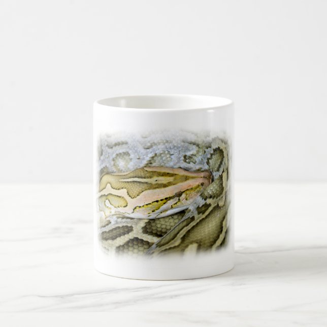 Stängning av indiska python magisk mugg (Center)