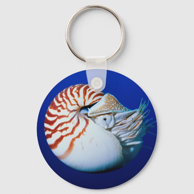 Stängning av kambodad Nautilus Nyckelring (Framsida)