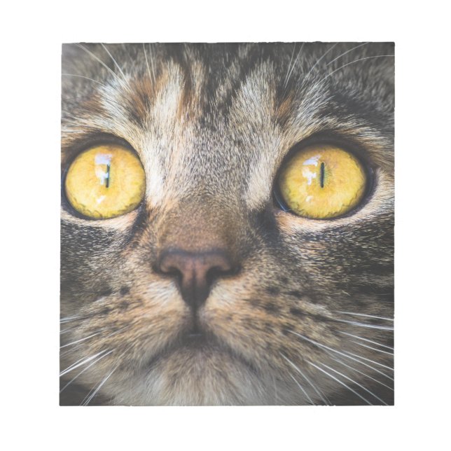 Stängning av katt med Gult Öga Anteckningsblock (Framsida)