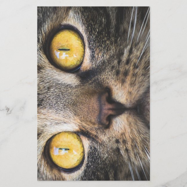 Stängning av katt med Gult Öga Brevpapper (Framsida)
