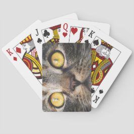 Stängning av katt med Gult Öga Casinokort