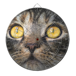 Stängning av katt med Gult Öga Darttavla
