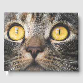 Stängning av katt med Gult Öga Gästböcker