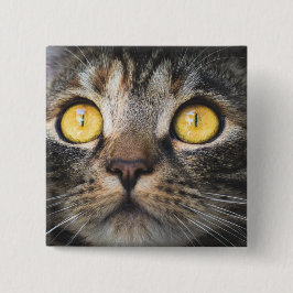 Stängning av katt med Gult Öga Knapp