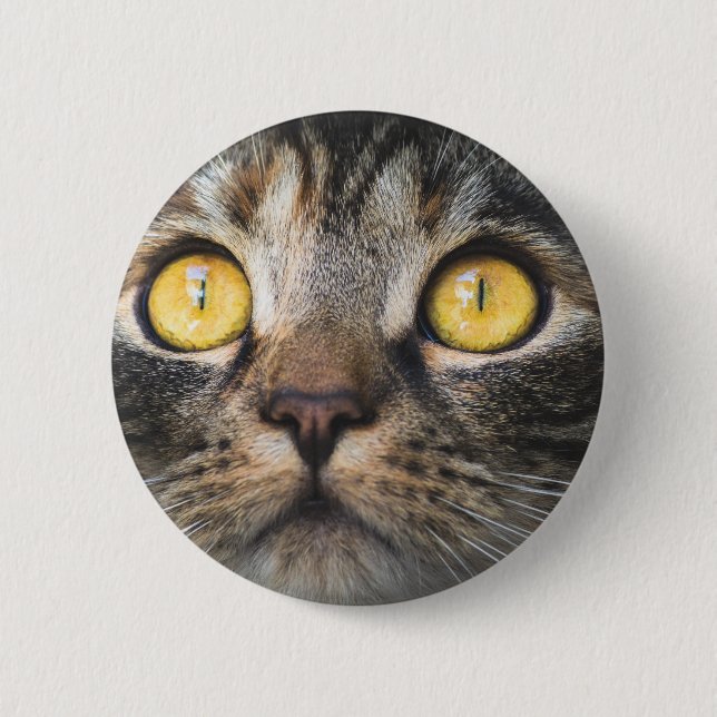 Stängning av katt med Gult Öga Knapp (Framsida)