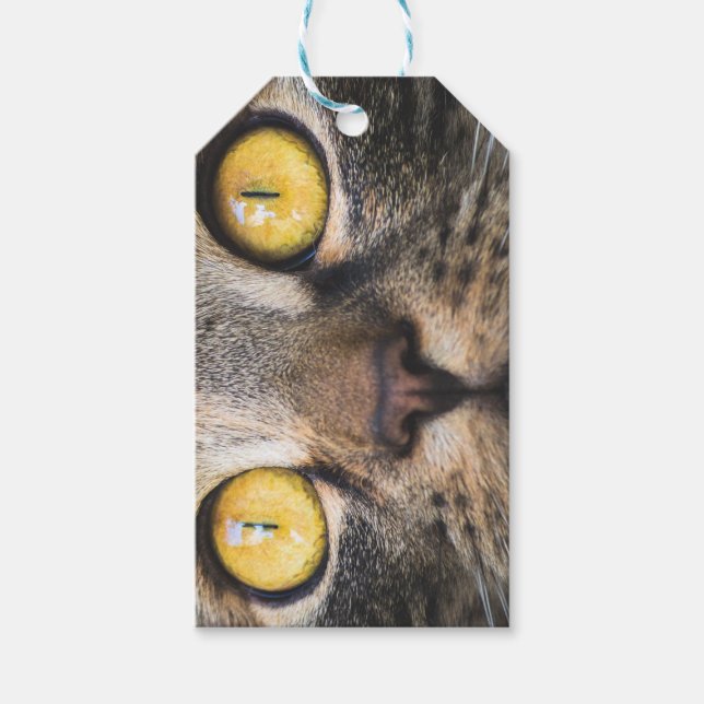 Stängning av katt med Gult Öga Presentetikett (Framsidan)