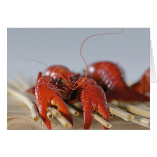 Stängning av krabba på fästingar hälsningskort