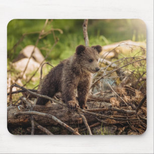 Stängning av kute Baby i Skogen Musmatta