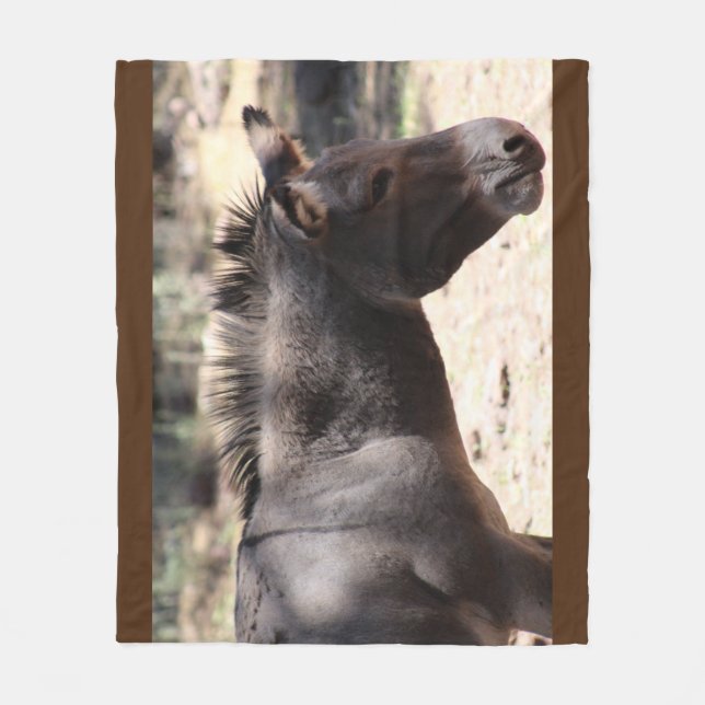 Stängning av Mule - Arizona Fleecefilt (Framsidan)