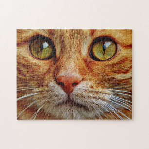 Stängning av Orange Tabby katt Ögon Pussel