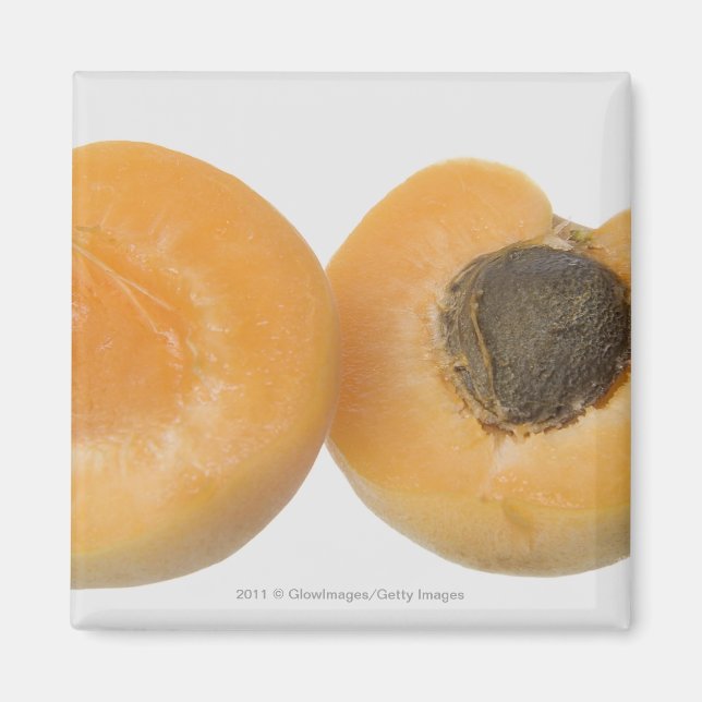 Stängning av plommondelen kor magnet (Framsidan)