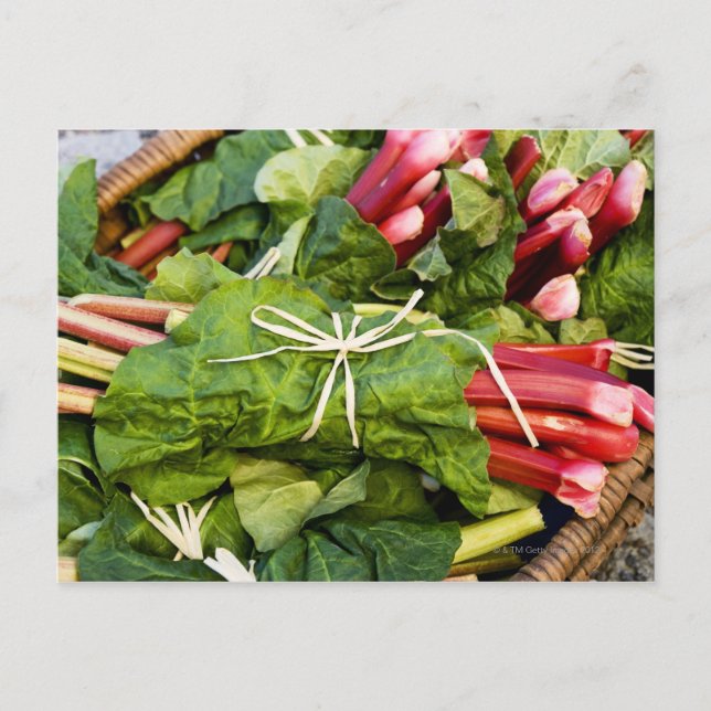 Stängning av rabarbbunkar i basket vykort (Framsida)