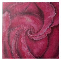 Stängning av röd ros