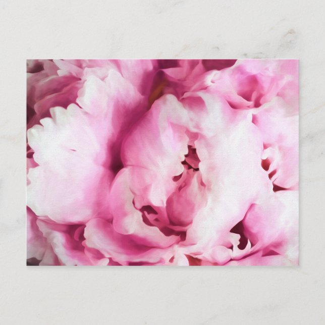 Stängning av Rosa Peony Painting Vykort (Framsida)