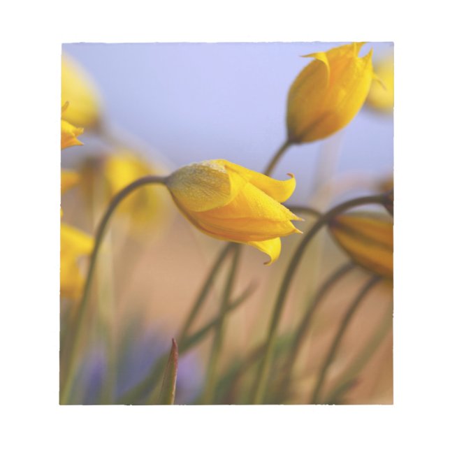 Stängning av skyddsmedel anteckningsblock (Framsida)