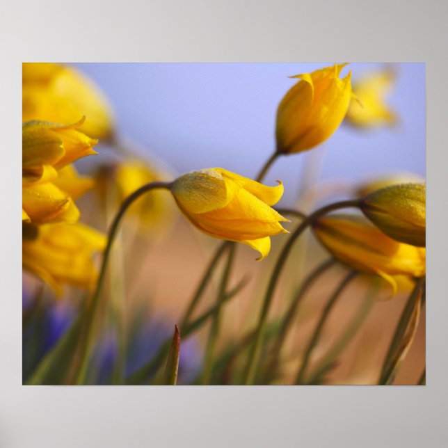 Stängning av skyddsmedel poster (Framsidan)