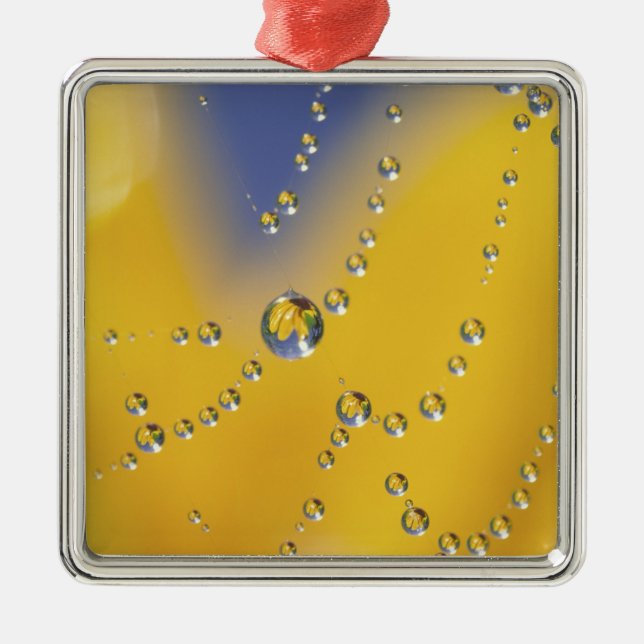 Stängning av spindelnät med daggdroppar julgransprydnad metall (Framsidan)