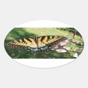 Stängning av Tiger Swallowtail bredvid Cleome Ovalt Klistermärke