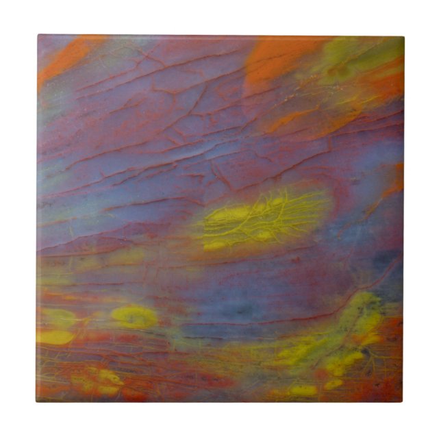 Stängning av torkat trä kakelplatta (Framsidan)