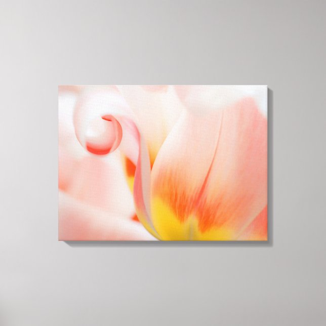 Stängning av tulp 3 canvastryck (Framsida)