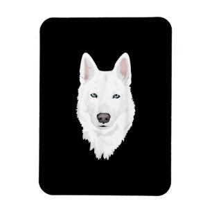 Stängning av vit Siberian husky - vit sötad Snö Magnet