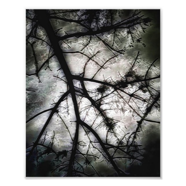 Stängning Fototryck (Framsidan)