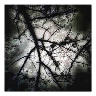 Stängning Fototryck