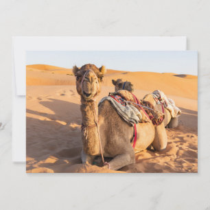 Stängning på Camel i Oman-öknen Inbjudningar