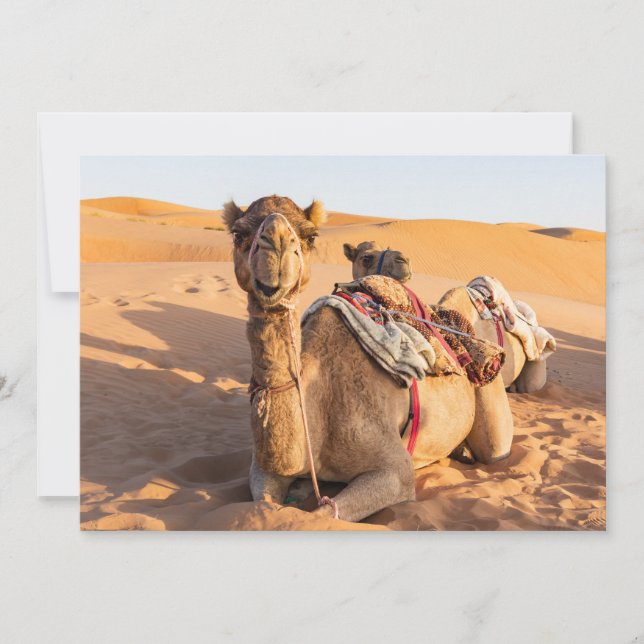 Stängning på Camel i Oman-öknen Inbjudningar (Framsida)
