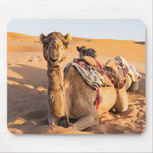 Stängning på Camel i Oman-öknen Musmatta
