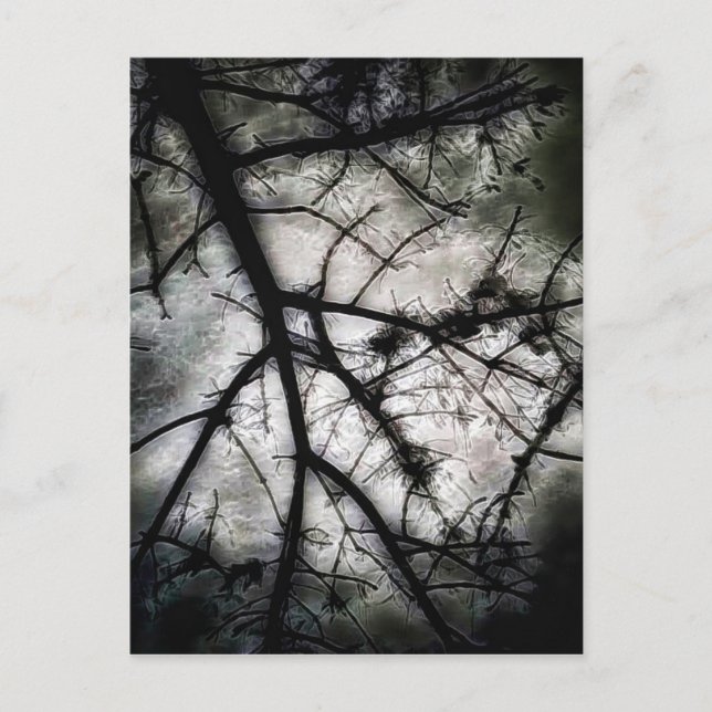 Stängning Vykort (Framsida)