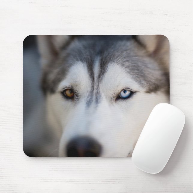 Stängningsbok för en Alaska Malamute Musmatta (Med mus)