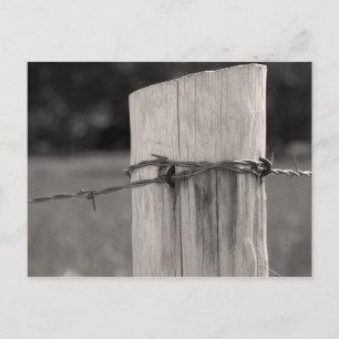 Stängstolpe och Barbed Wire Vykort